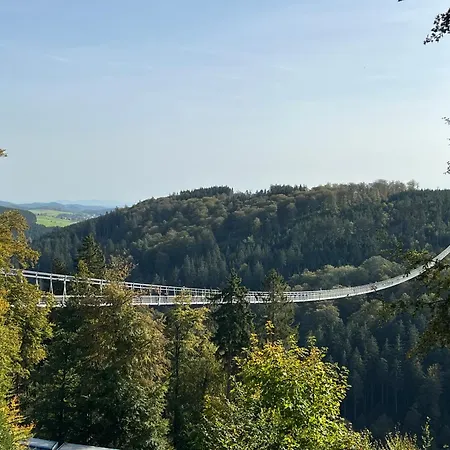 Kurpark-blick *