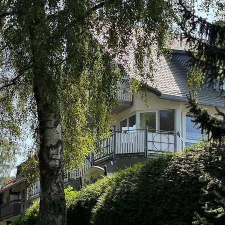 Kurpark-blick Willingen (Upland)
